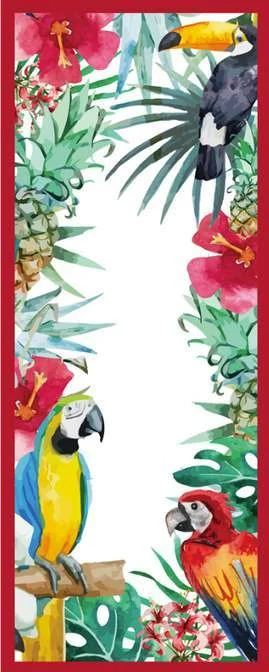 Pintados — Macaw